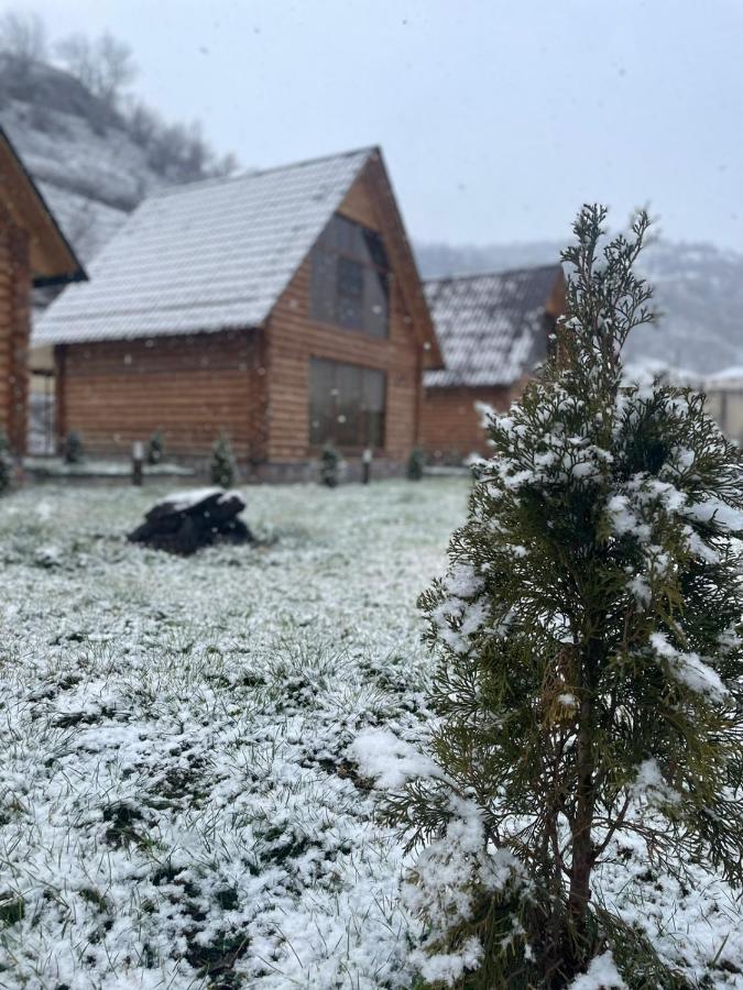Riverside Eco Resort Debed Экстерьер фото